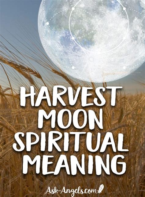 Harvest moon magical meood